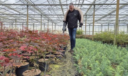 Innogreen meststoffen voor de plant- en boomkwekerij