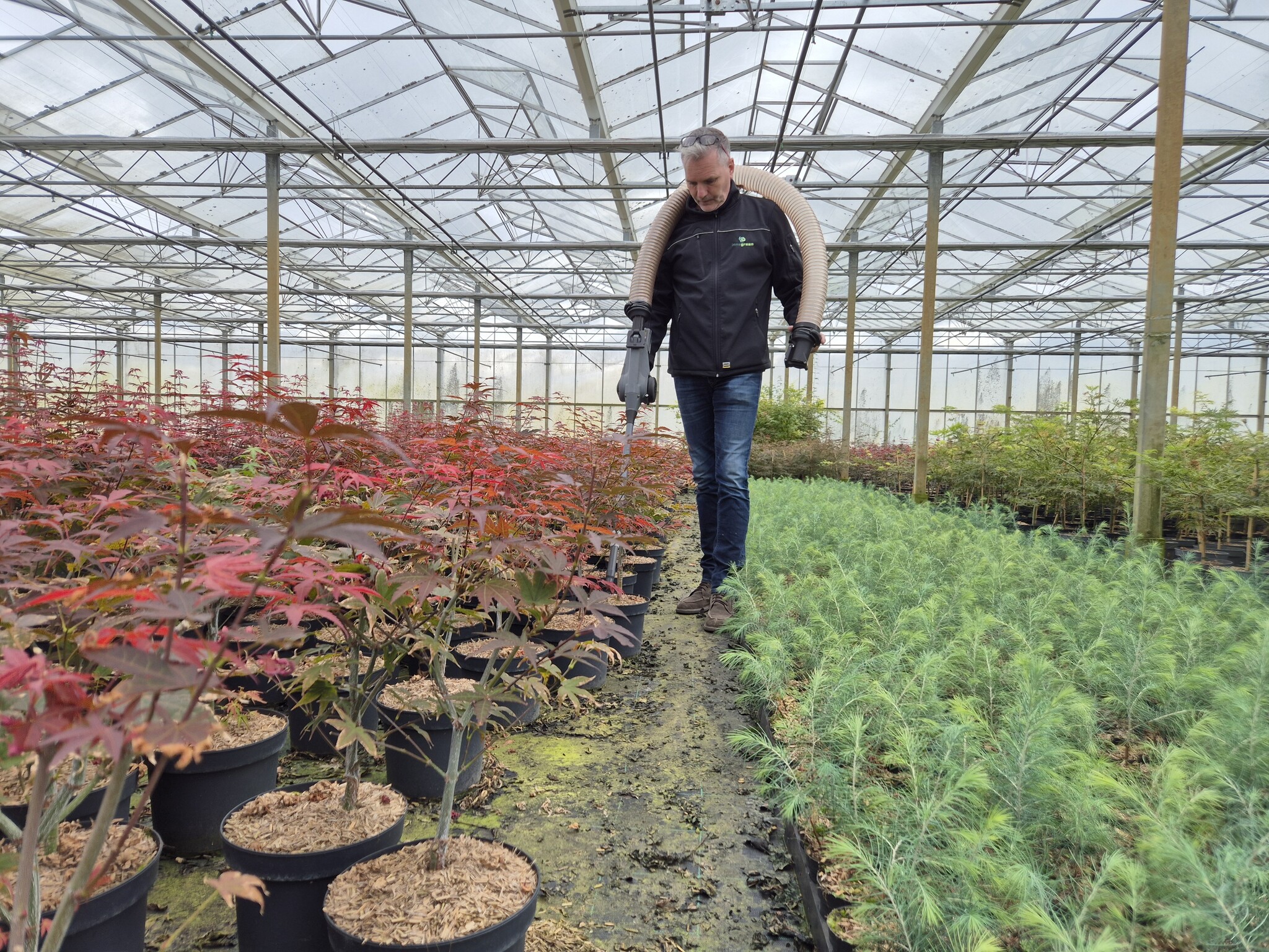 Innogreen meststoffen voor de plant- en boomkwekerij
