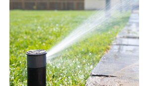 GAZON | Stikstof tekort in het gras