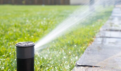 GAZON | Stikstof tekort in het gras