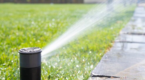 GAZON | Stikstof tekort in het gras