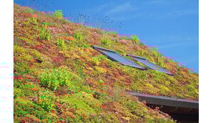 ONDERHOUD | Onderhoud groendaken