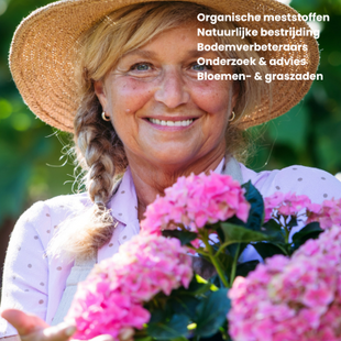 Innogreen Groengids
