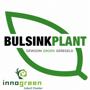 Bulsink Plant BV
