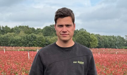 Review | Van Oploo tuinplanten