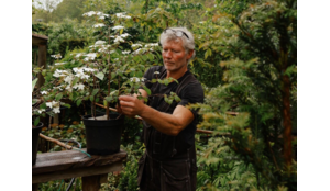 Review | Herbert van der Zalm | Van der Zalm tuinen