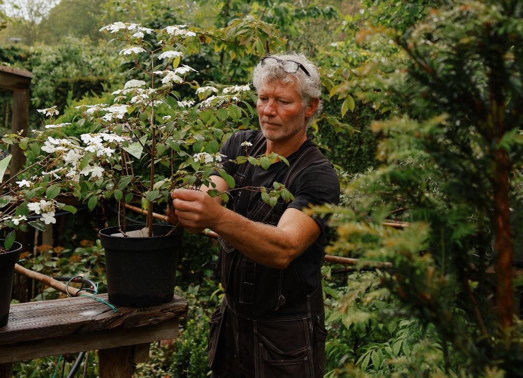Review | Herbert van der Zalm | Van der Zalm tuinen