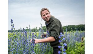 Review | Jasper Helmantel | Cruydt-Hoeck