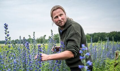 Review | Jasper Helmantel | Cruydt-Hoeck