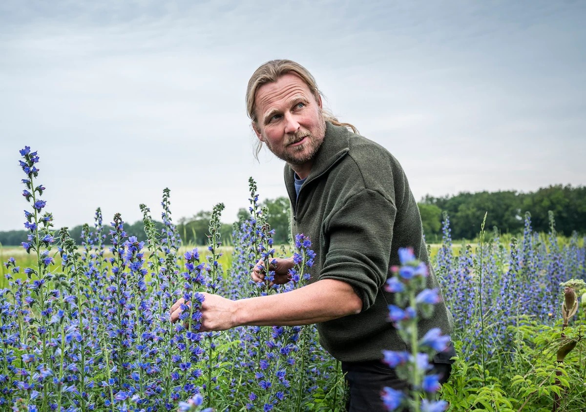 Review | Jasper Helmantel | Cruydt-Hoeck