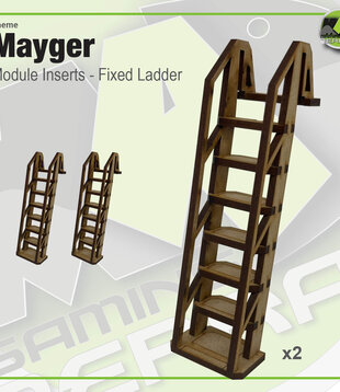 Accessory - Fixed Ladder