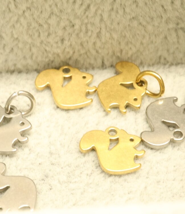 Unieke Bedel Geïnspireerd Door De Liefde Van Eekhoorns