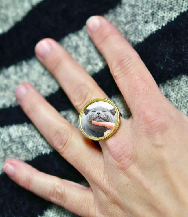 Elegant Verstelbare Foto Ring van Stainless Steel