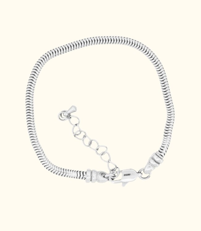 Stijlvolle Snake Chain Armband Voor Bedels