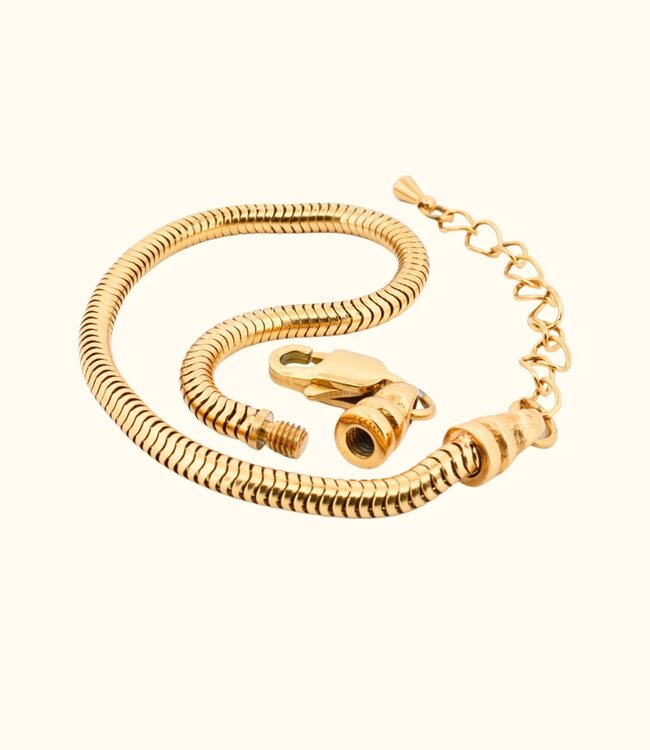 Stijlvolle Snake Chain Armband Voor Bedels