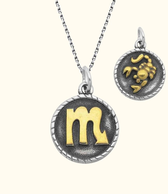 Stoere Zilveren Ketting Met Dubbelzijdige Sterrenbeeld Hanger In Goud