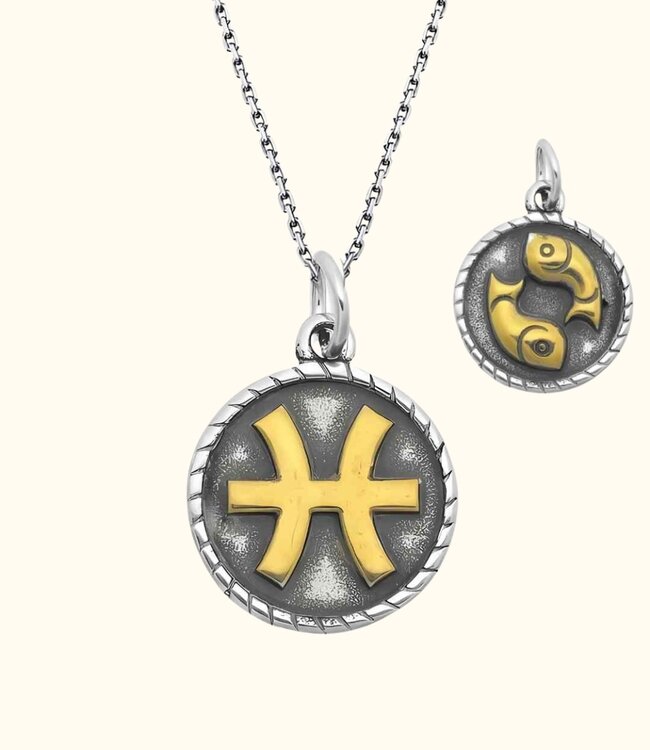 Stoere Zilveren Ketting Met Dubbelzijdige Sterrenbeeld Hanger In Goud