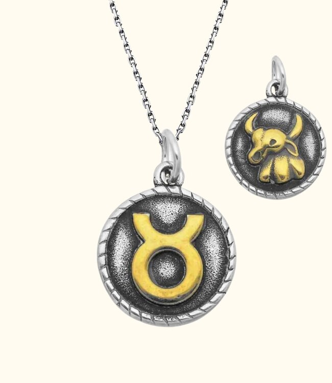 Stoere Zilveren Ketting Met Dubbelzijdige Sterrenbeeld Hanger In Goud