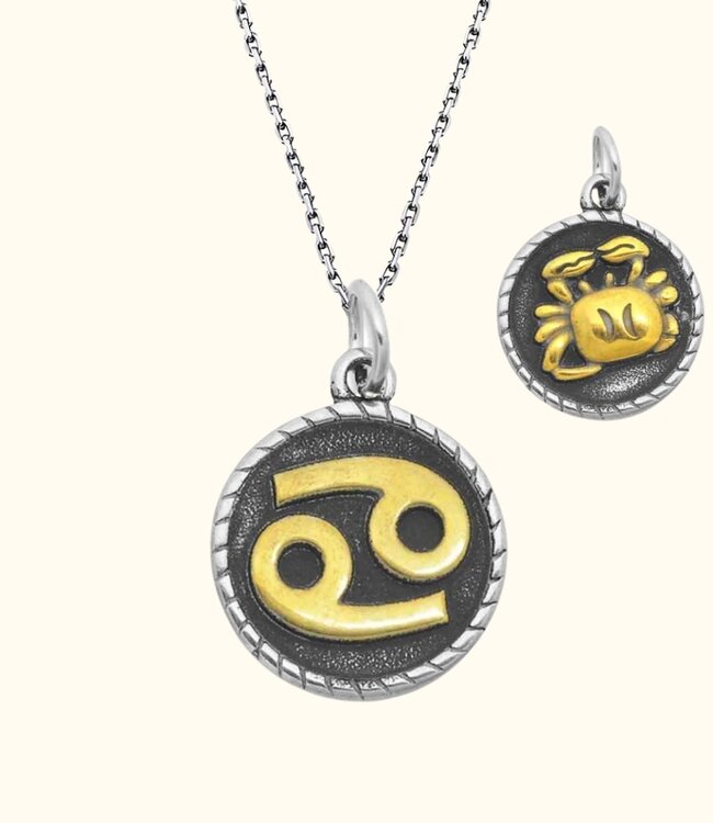 Stoere Zilveren Ketting Met Dubbelzijdige Sterrenbeeld Hanger In Goud