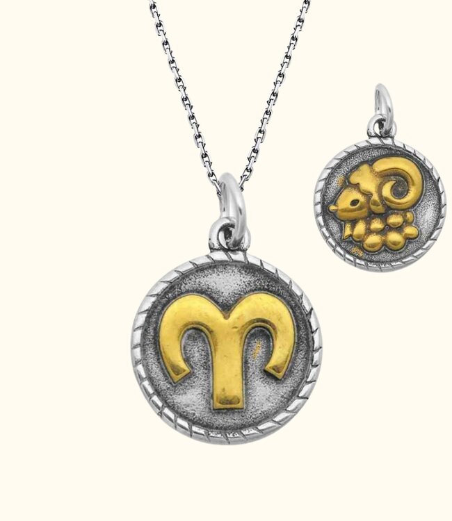 Stoere Zilveren Ketting Met Dubbelzijdige Sterrenbeeld Hanger In Goud