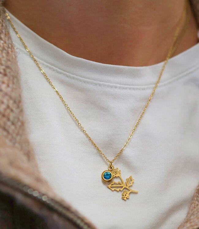 Betekenisvolle Geboortebloem Ketting Met Geboortesteen