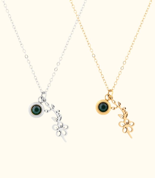 Betekenisvolle Geboortebloem Ketting Met Geboortesteen