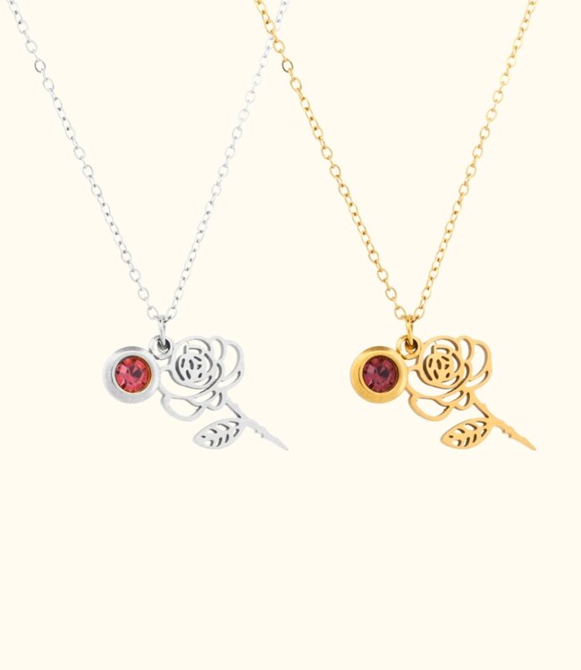 Betekenisvolle Geboortebloem Ketting Met Geboortesteen