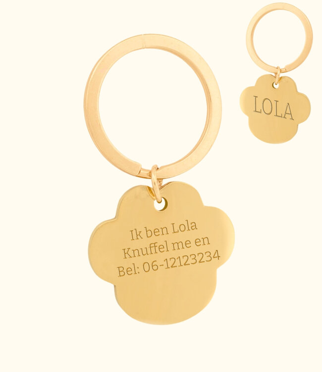 Gegraveerde Hondenpenning Met Naam En Telefoonnummer Op Hondenpoot