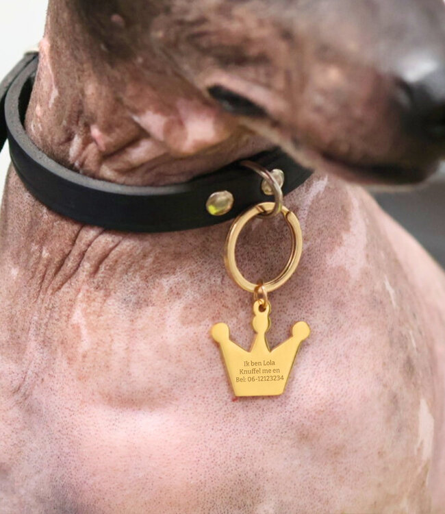 Gegraveerde Hondenpenning Met Naam En Telefoonnummer Op Kroon