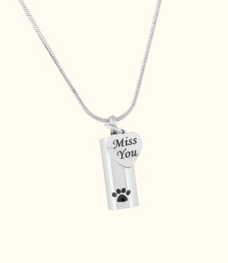 Briansa Asketting Met Pootafdruk Hanger