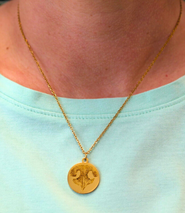 Unieke Munt Ketting Gegraveerd Met De Neusafdruk Van Jouw Huisdier