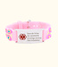 Veilig Medisch Armbandje Vlinder
