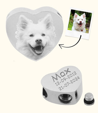 Briansa Hond Asbedel