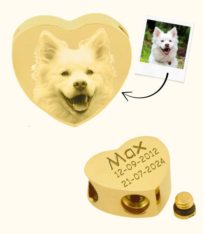 Symbolische Asbedel Hond Voor Een Waardig Aandenken