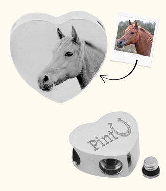 Briansa Paard Asbedel
