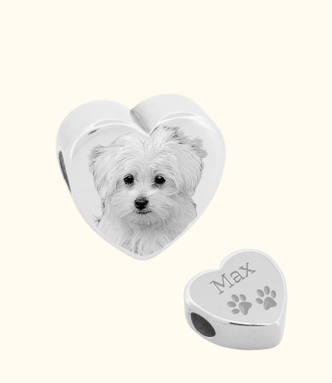 Bedel Hond als symbool van trouw en verbondenheid