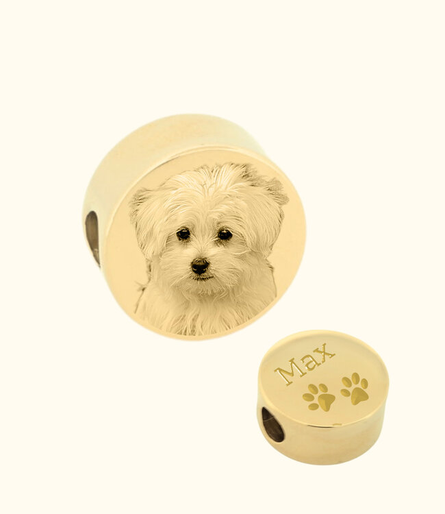 Bedel Hond als symbool van trouw en verbondenheid