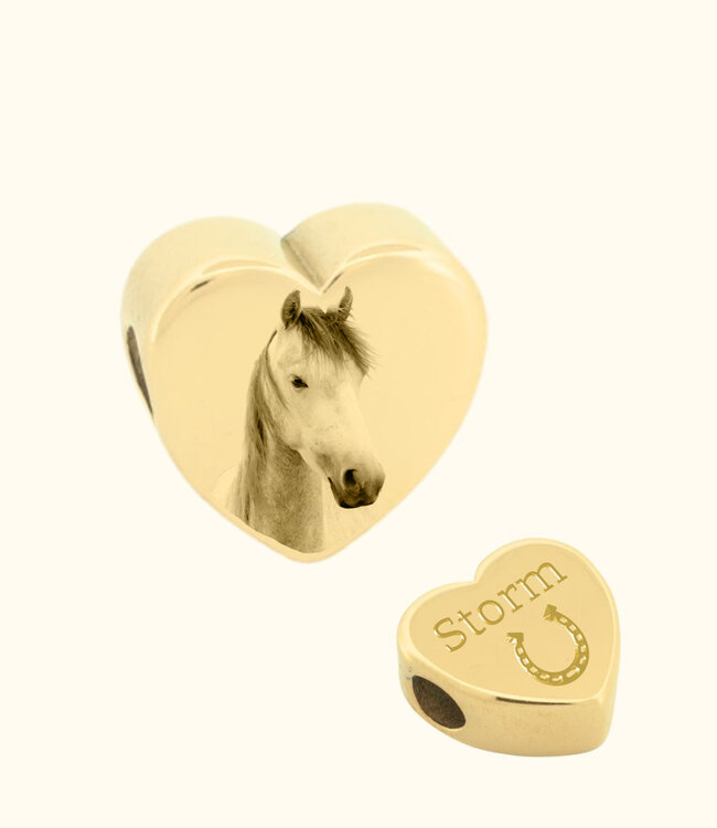 Bedel Paard als symbool van kracht en verbondenheid