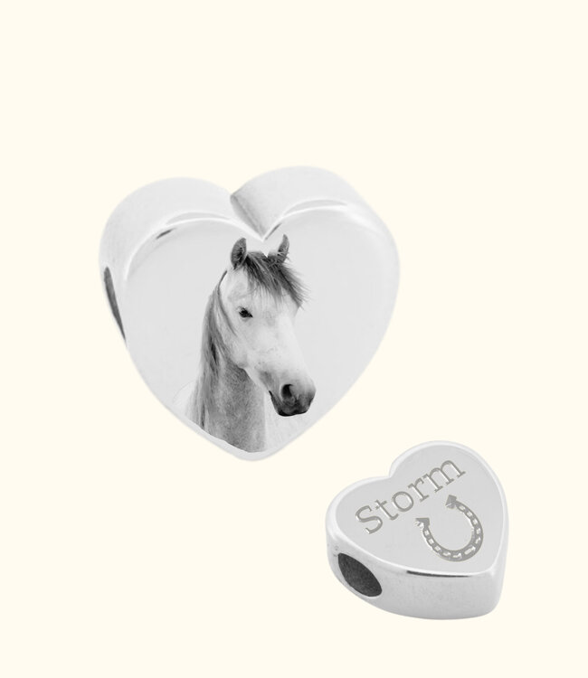 Bedel Paard als symbool van kracht en verbondenheid