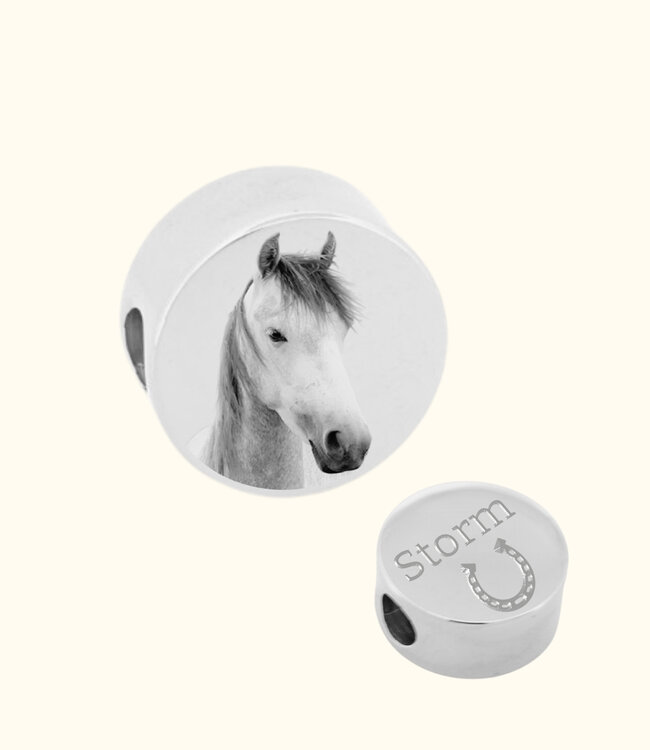 Bedel Paard als symbool van kracht en verbondenheid