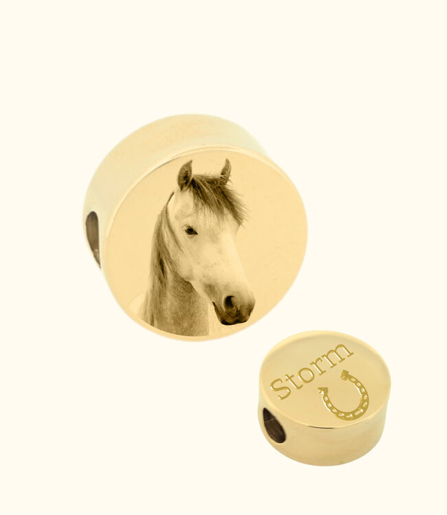 Bedel Paard als symbool van kracht en verbondenheid