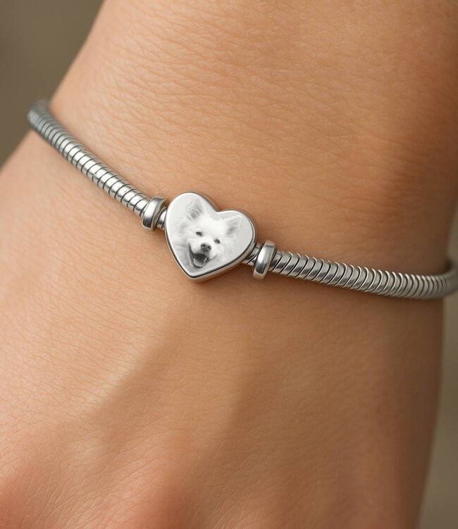 Symbolische Asbedel Hond Voor Een Waardig Aandenken