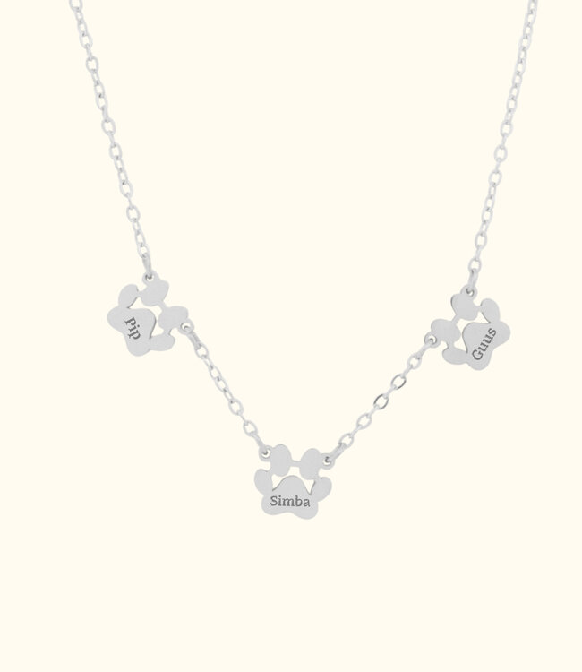 Ketting met pootjes draag jouw huisdier altijd dicht bij je hart