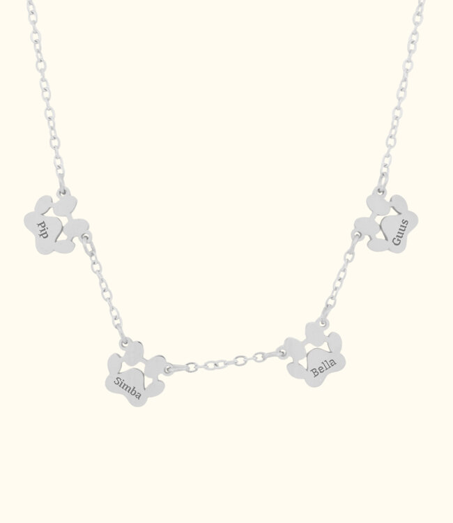 Ketting met pootjes draag jouw huisdier altijd dicht bij je hart