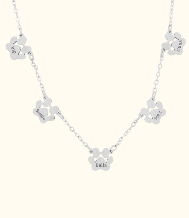 Ketting met pootjes draag jouw huisdier altijd dicht bij je hart