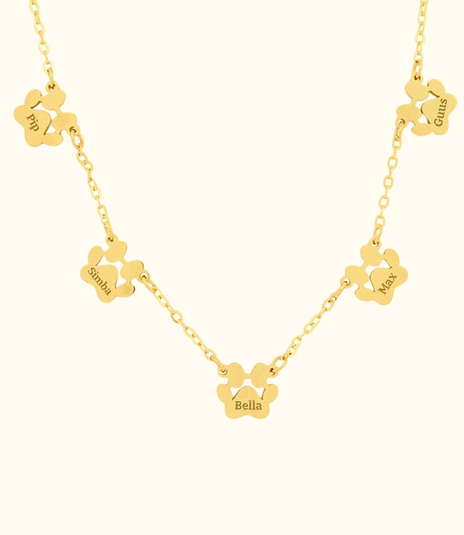 Ketting met pootjes draag jouw huisdier altijd dicht bij je hart