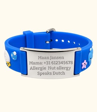 Briansa ICE Armbandje Dolfijn
