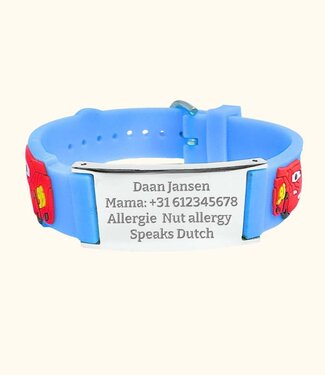Briansa ICE Armbandje Auto