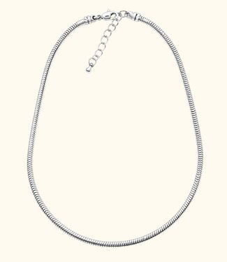 Briansa Snake Bedelketting