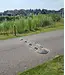 LENTO Speed bump 7 cm height (COMPLETE SETS)